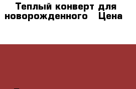 Теплый конверт для новорожденного › Цена ­ 700 - Башкортостан респ., Нефтекамск г. Дети и материнство » Детская одежда и обувь   . Башкортостан респ.,Нефтекамск г.